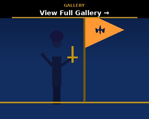 View All